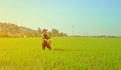 ​关于小满的唯美句子,关于二十四节气的优美句子