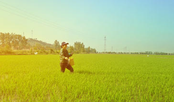 关于小满的唯美句子,关于二十四节气的优美句子图1