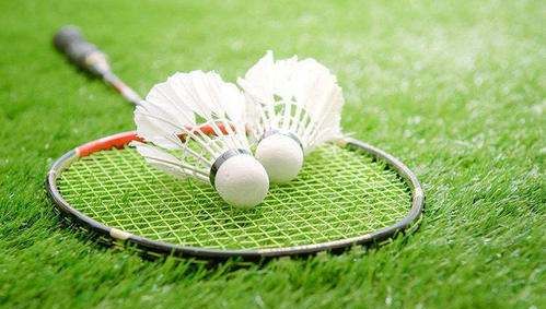 体育运动有哪些,各种各样的运动项目有哪些图3