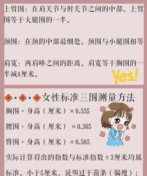 通常三围指的是什么