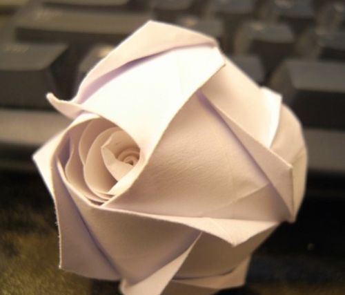 怎样折简单又漂亮的玫瑰花