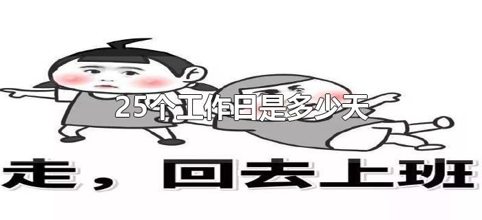 25个工作日是多少天