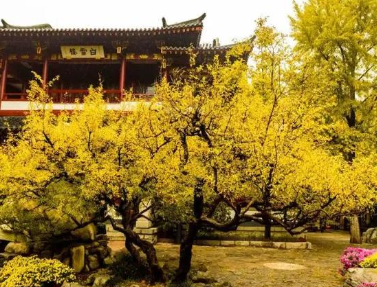 1626230923796496.png image.png