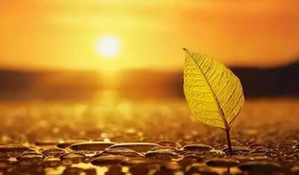 释怀是什么意思,释怀是什么意思解释一下图1