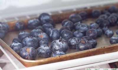 ​蓝莓冻了以后还有营养,冷冻蓝莓比新鲜蓝莓更有营养