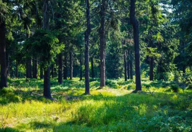 1626074248619780.png image.png