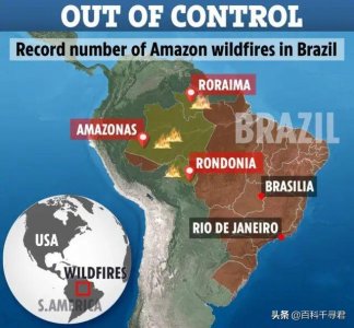 ​热带雨林自然奇观（大自然的杰作温带雨林）