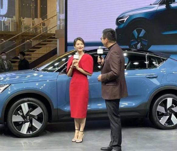 高圆圆现身珠港澳车展(高圆圆参加某车展代言)(4)
