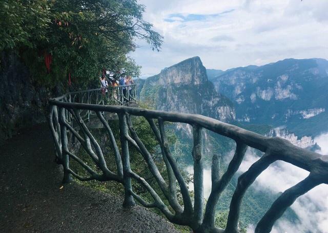 自驾游张家界攻略详细路线推荐(假期出游张家界)(8)