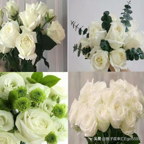 父亲节送什么花(适合父亲节用的鲜花介绍来咯)(4)