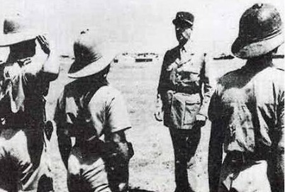 网络图片(侵删)