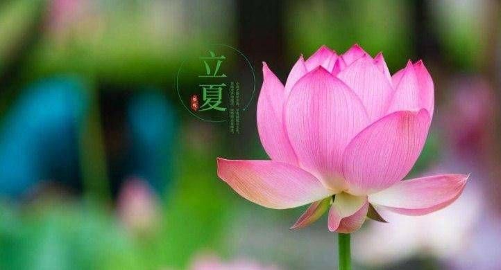 一年四季是怎么分的