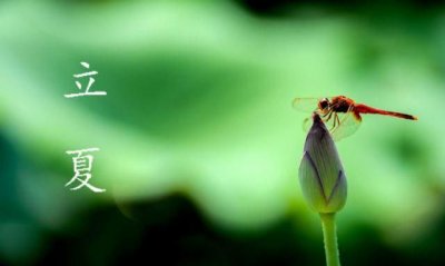 ​每一年的立夏是哪天，每年什么时候天最长和最短？