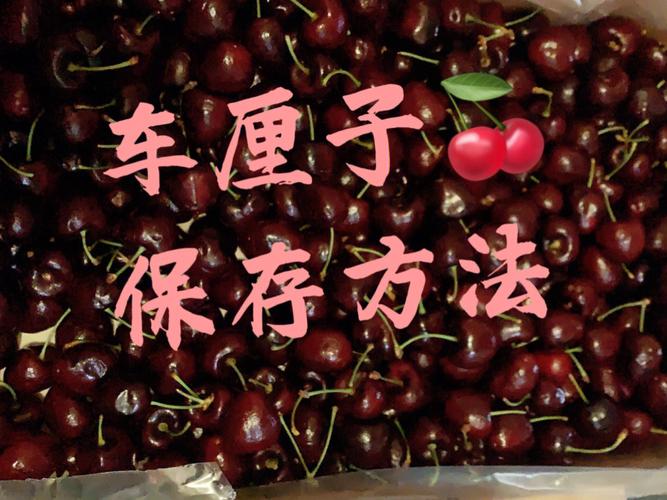 车厘子怎样保存时间长(车厘子的保存方法)