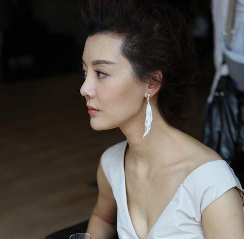 车晓鼻子整容过吗(车晓整容失败像猪八戒的鼻子)(1)