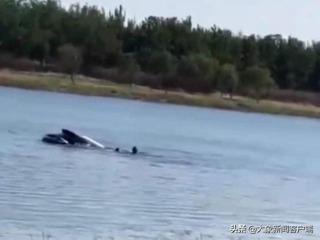 天津车祸最新事件津南区(天津北辰郊野公园发生事故致3死5伤)(1)