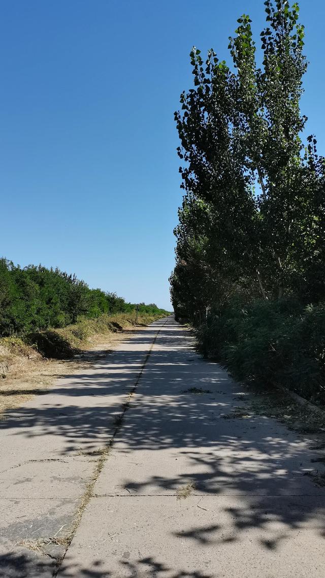 北辰郊野公园具体地点(历经车祸封闭后)(1)