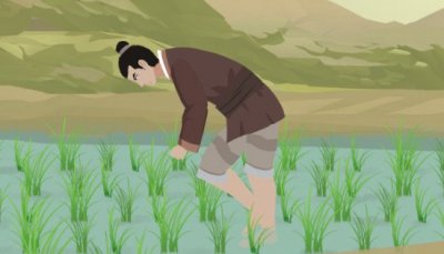 ​拔苗帮长的小说告知咱们什么讲理，心急吃没有了热豆腐