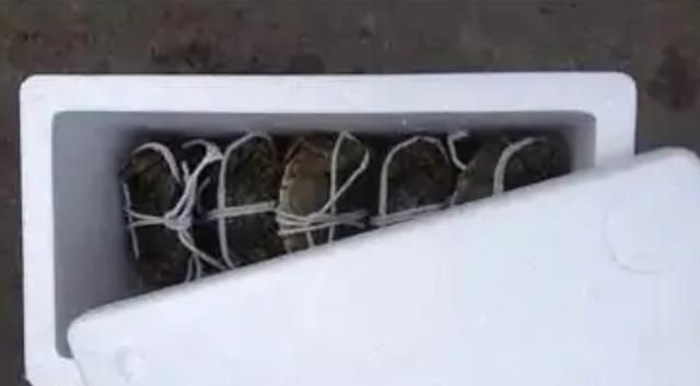 大闸蟹没吃完怎么储存，收到礼盒装大闸蟹一箱，怎么保存可以久一点，我后天拿回家才吃，住的地方没冰箱？图5