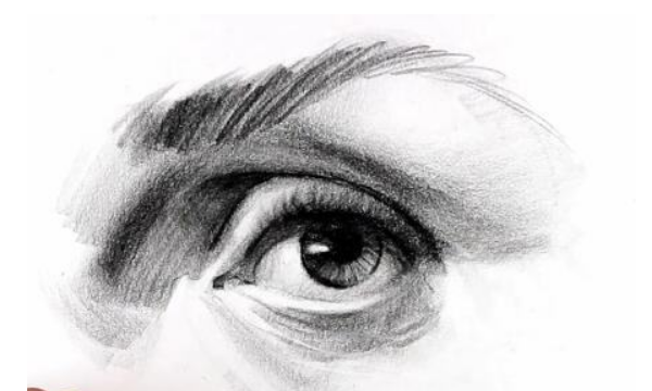 五官指的是什么,人的五官是什么?有哪些?图3