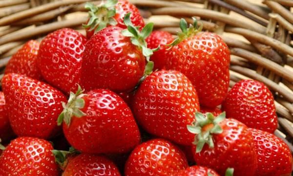 草莓红了后多久才能吃,草莓变红了之后有一点点发黄是什么事情图2