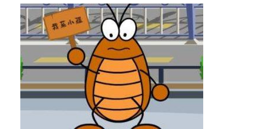 蟑螂爬过的被子能睡么,床上跑了一只蟑螂还可以睡吗图4