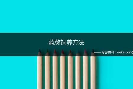 藏獒饲养方法,藏獒喂养讲解教程