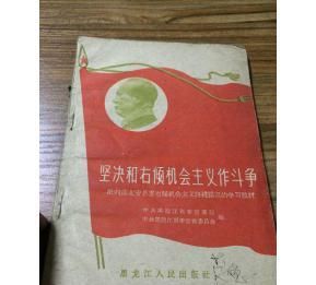 历史上的左倾错误和右倾错误是什么东西