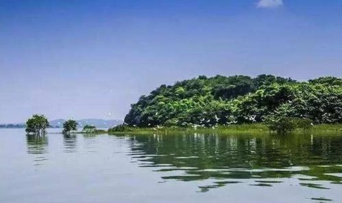 我国最大的淡水湖是什么:我国最大的淡水湖水是什么湖水