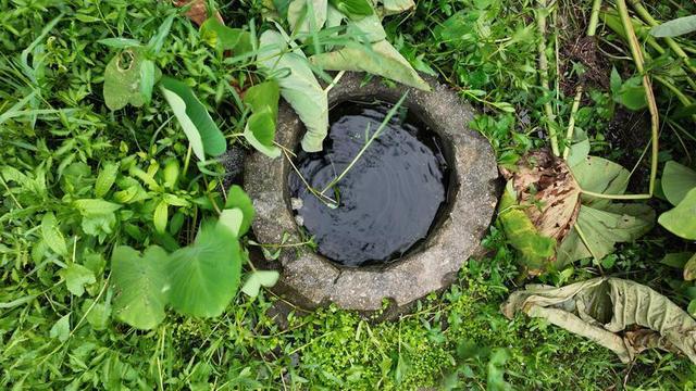 鹦哥岭原始社会遗址(观文脉鹦歌山新石器时代遗址)(5)