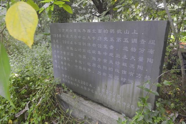 鹦哥岭原始社会遗址(观文脉鹦歌山新石器时代遗址)(7)