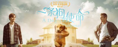 ​电影一条狗的使命结局