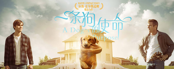 电影《一条狗的使命》结局