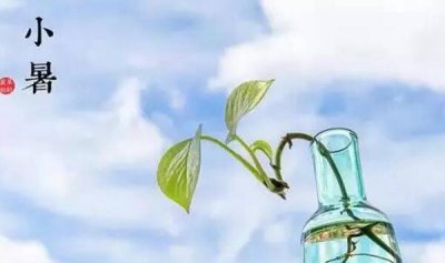 ​小暑骨气的含意是什么，盛夏的启始（每年的7月6-8日）