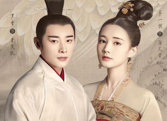 鹤唳华亭讲的什么