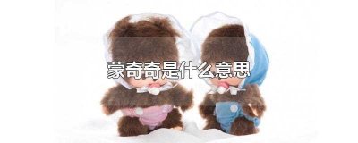 ​蒙奇奇是什么意思(蒙奇奇是两只代表)