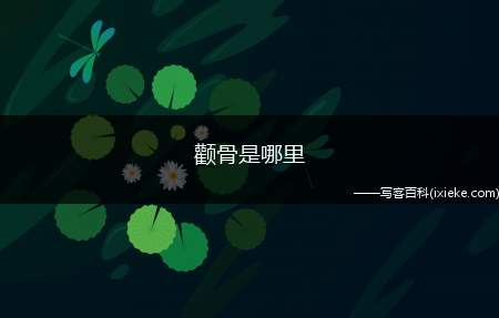 颧骨是哪里(颧骨和颧骨有什么区别)