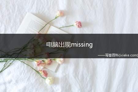 电脑出现missing operation system怎么办