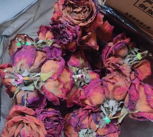 保存干花的方法 如何将干花保存的更长久一些