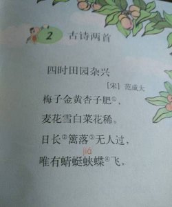 ​四时田园杂兴其三十一古诗，四时田园杂兴其三十一古诗的中心思想？