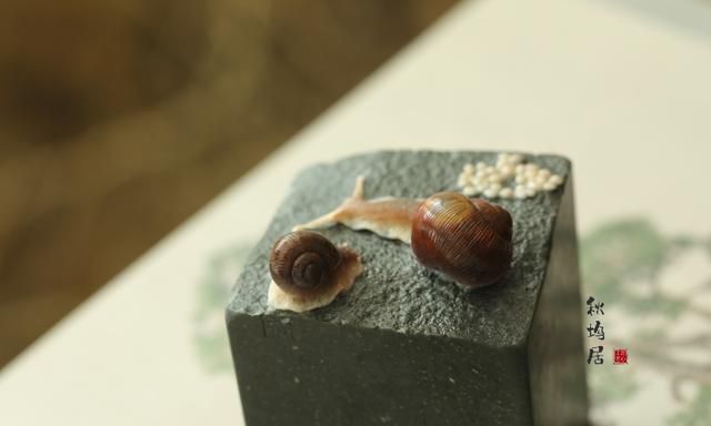 蜗牛的寓意和象征,蜗牛壳的寓意和象征?图8