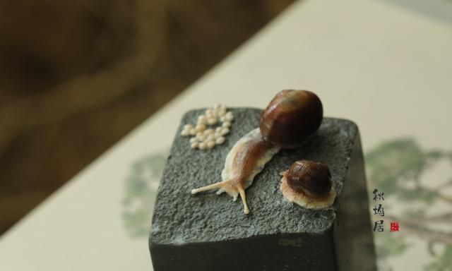 蜗牛的寓意和象征,蜗牛壳的寓意和象征?图5