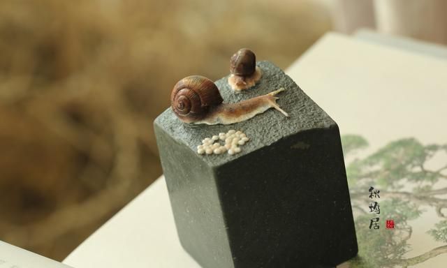 蜗牛的寓意和象征,蜗牛壳的寓意和象征?图1