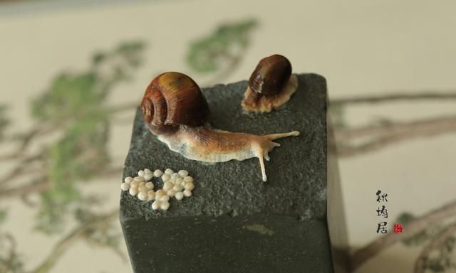 蜗牛的寓意和象征,蜗牛壳的寓意和象征?图2