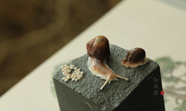 蜗牛的寓意和象征,蜗牛壳的寓意和象征?图7