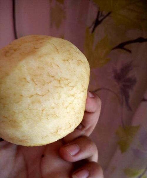 苹果放时间长了软了还能吃吗