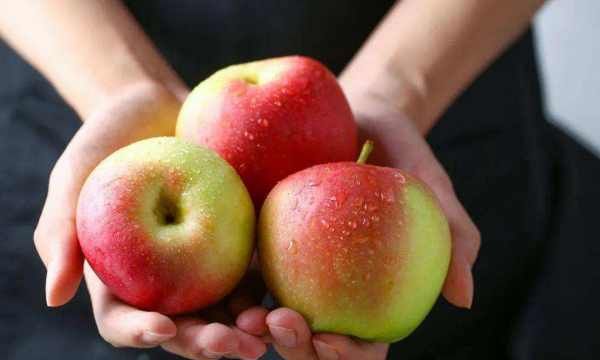 苹果皮皱了还能吃,苹果放时间长了软了还能吃吗图5