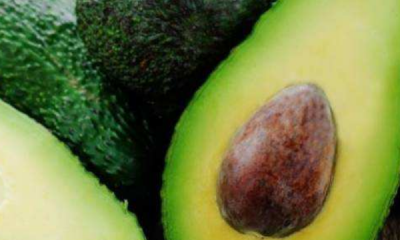 ​牛油果泥隔天能吃,牛油果冻了变软了还能吃吗