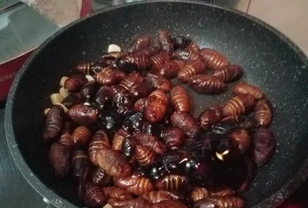 炒蚕蛹怎么做，炒蚕蛹怎么做？图12