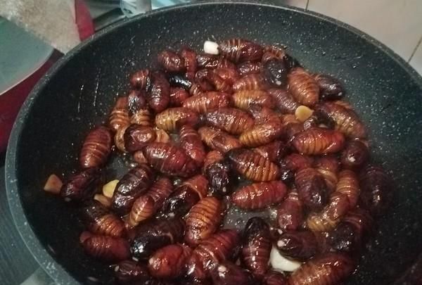 炒蚕蛹怎么做，炒蚕蛹怎么做？图15